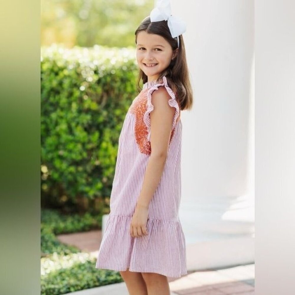 J. Marie Schaeffer Baby Dress 2T & 3T NWT Burnt Orange Embroidered Cotton Ruffle - Picture 4 of 5